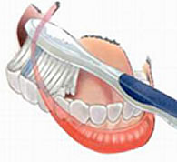 Zahnarzt in Basel erklärt das Zähneputzen - 3.Schritt